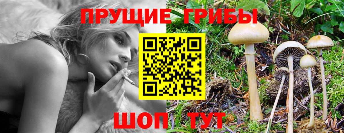 Псилоцибиновые грибы MAGIC MUSHROOMS  Вход с VPN  Ленинск-Кузнецкий 